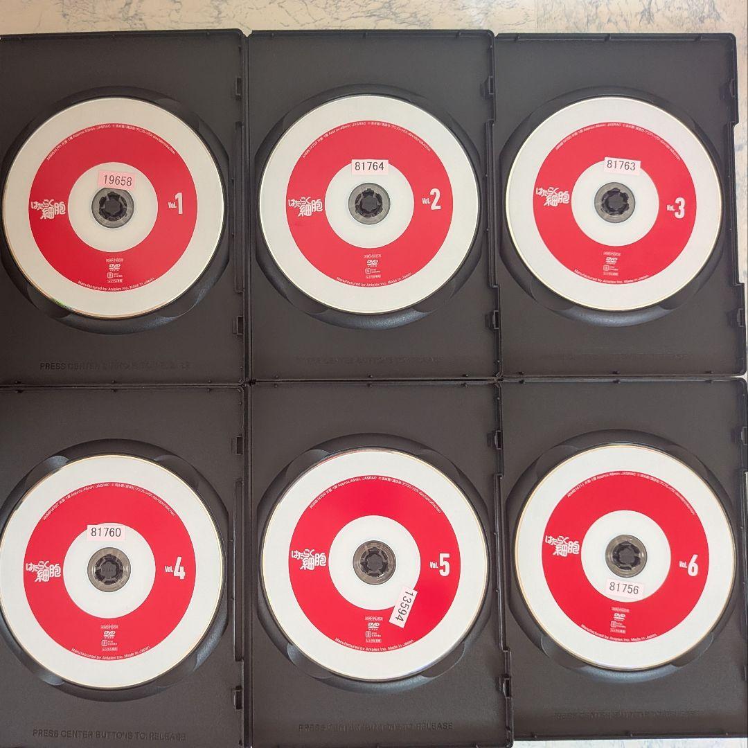 DVD　はたらく細胞　1期、2期、スペシャル、スピンオフ　計19巻　新品ケース付