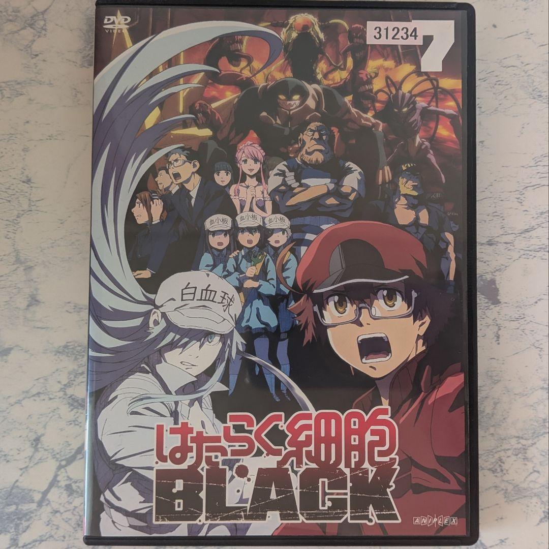 DVD　はたらく細胞　1期、2期、スペシャル、スピンオフ　計19巻　新品ケース付