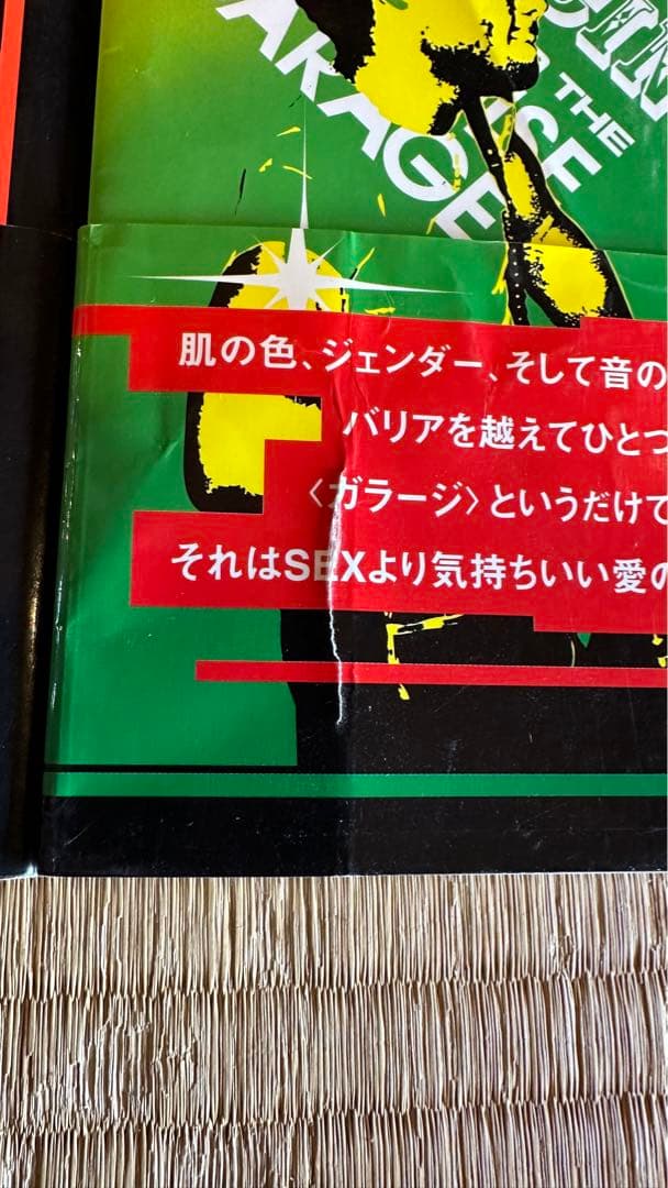 パラダイス・ガラージの時代 : NYCクラブカルチャー・光と影 上巻
