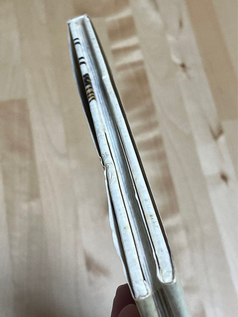 【まとめ割可】【値段交渉可】ひとりの正月【絶版】【希少品】【初版本】