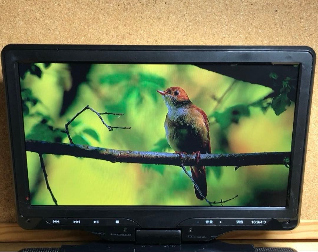 Avox 10インチ リモコン付き ポータブルDVD・BD・ブルーレイプレーヤー