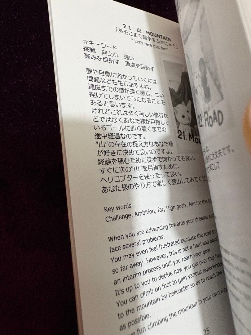 いちばんていねいなルノルマンカード占い　カードセット