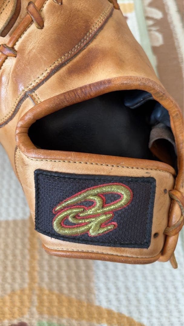 ファーストミット左 ドナイヤ