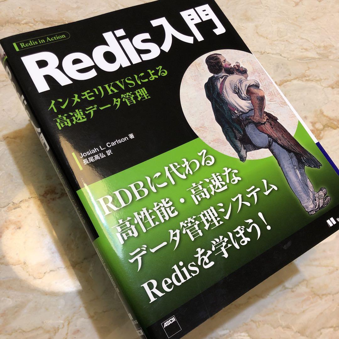 Redis入門 インメモリKVSによる高速データ管理