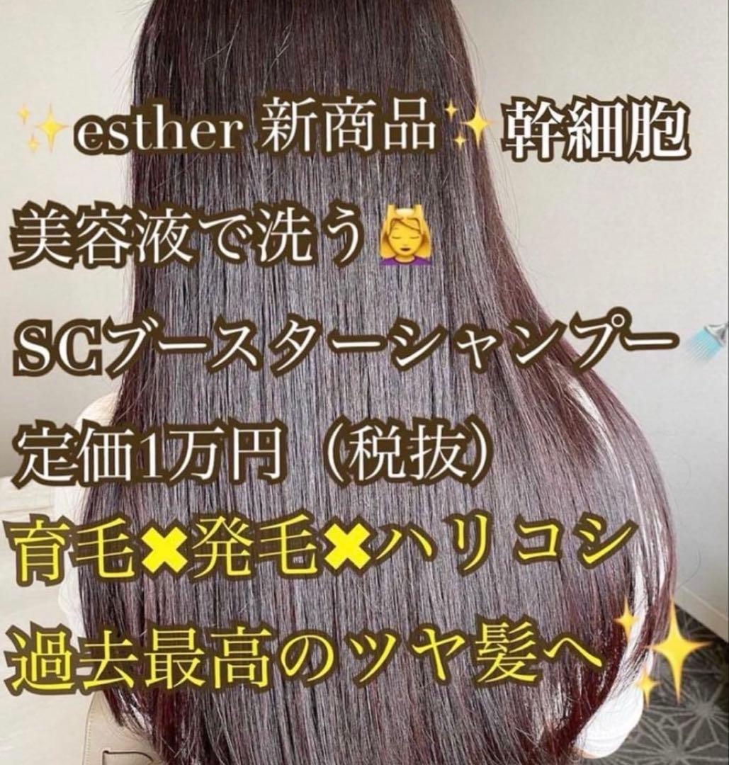 初売り！SCブースターシャンプー 200ml！ヒト幹細胞シャンプー