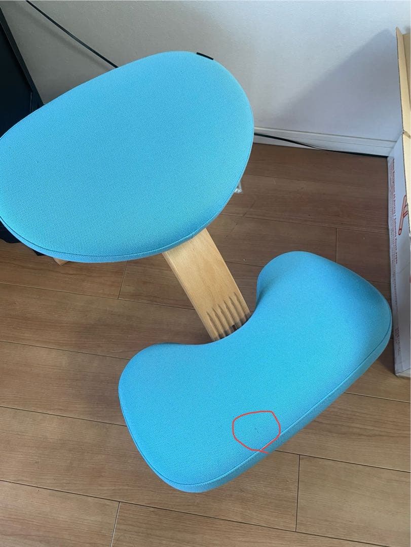 ラクに姿勢がよくなる椅子｜バランス イージーBALANS LAB