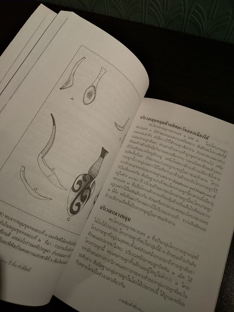 แหล่งโบราณคดียุคดึกดําบรรพ์ที่ประตูผา