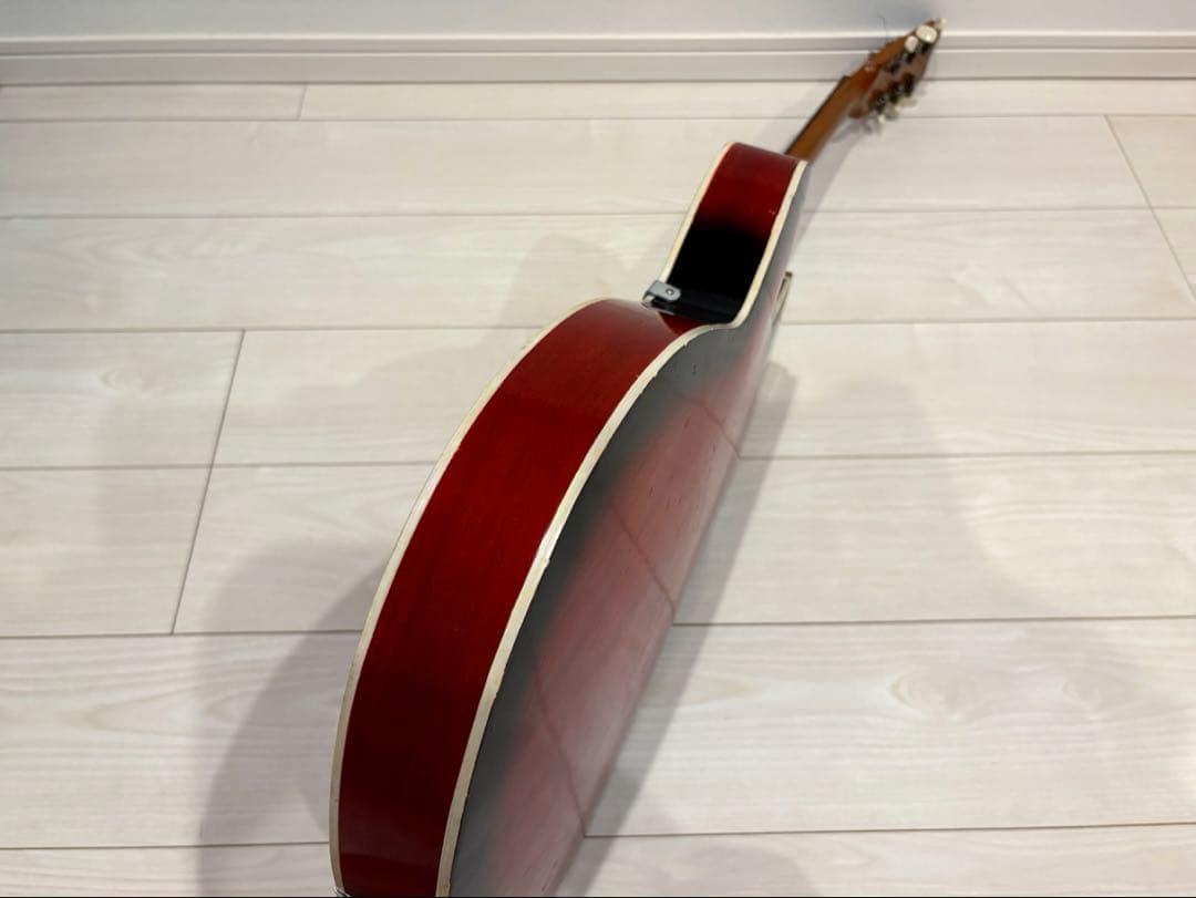 ビザール　アーチトップ　ピックギター　フルアコ　セミアコ　アコースティックギター