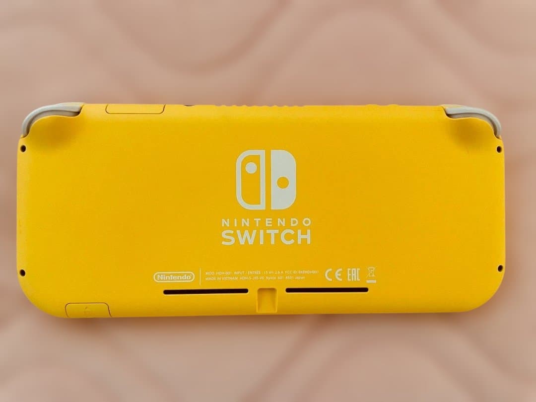 【箱&アダプタ付き】NintendoSwitch Lite