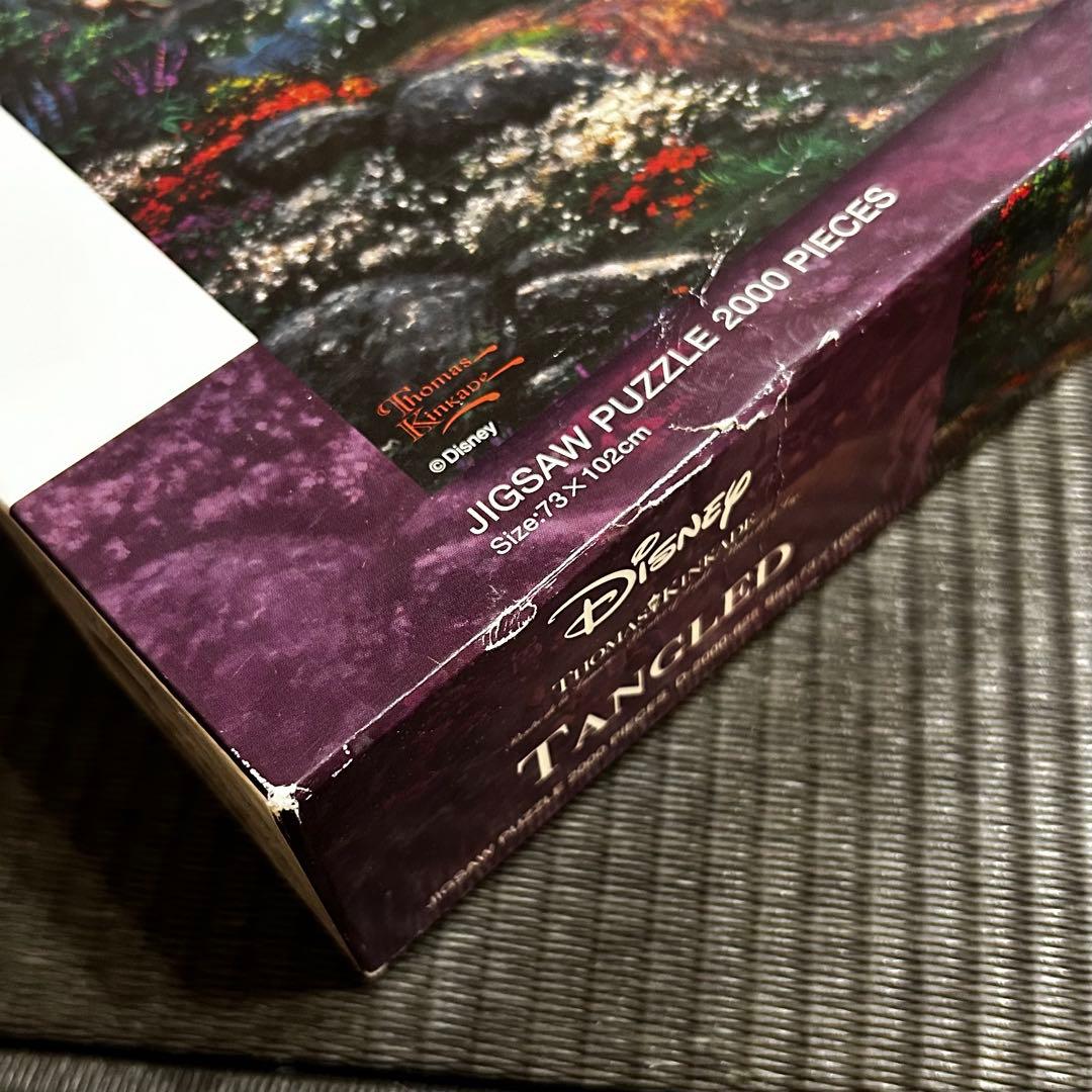 【2000p】ラプンツェル ディズニーキャラクターズ アートフィギュアパネル付