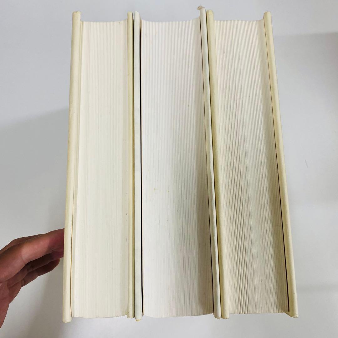 ギリシア語　新約聖書釈義事典　全3巻セット