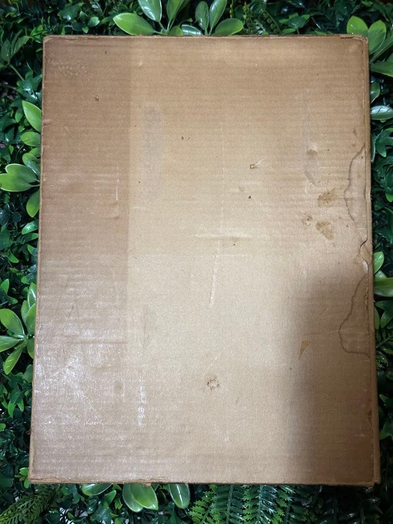 日本産魚類大図鑑 檜山義夫 安田富士郎 講談社 1971年初版 図版多数 外箱付