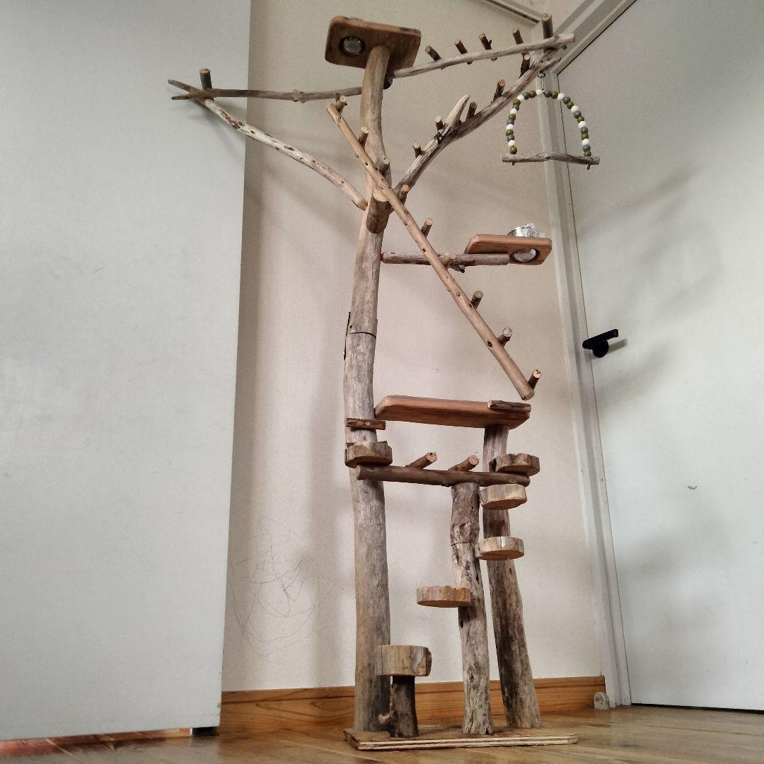 KT バードアスレチックジム大型 天然木 自然木 流木 止まり木 インコ