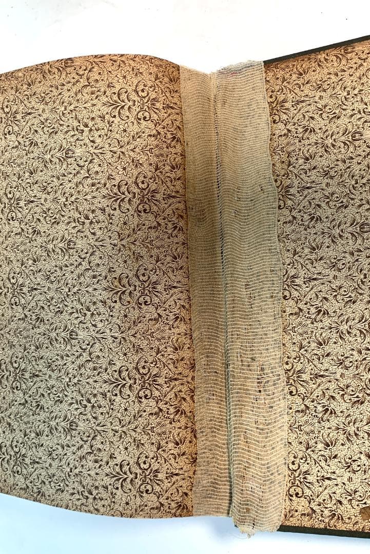 Bilder-Atlas des Pflanzenreichs植物界絵図アトラス