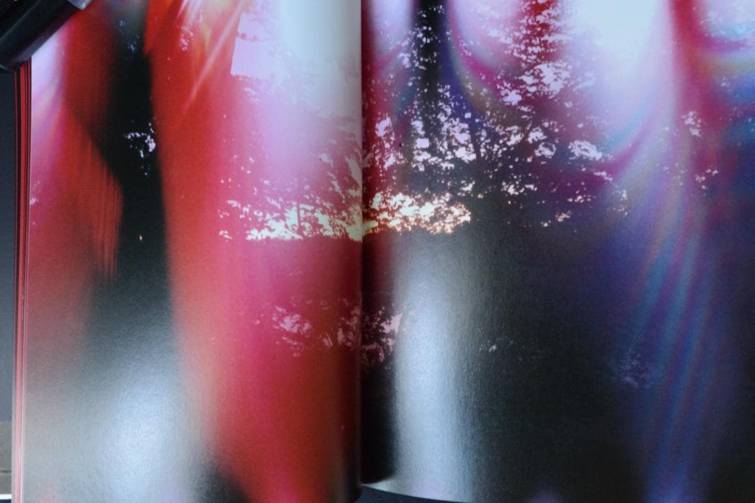 【Mark Borthwick ：Abandom Reverie ＆ zine】