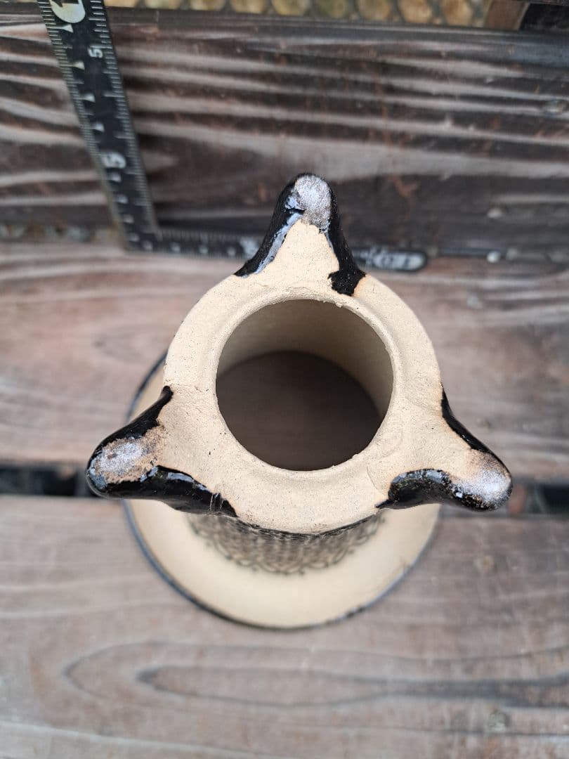 錦鉢　万年青　オモト　長生蘭　風蘭　古典植物　植木　観葉植物　インテリア　園芸