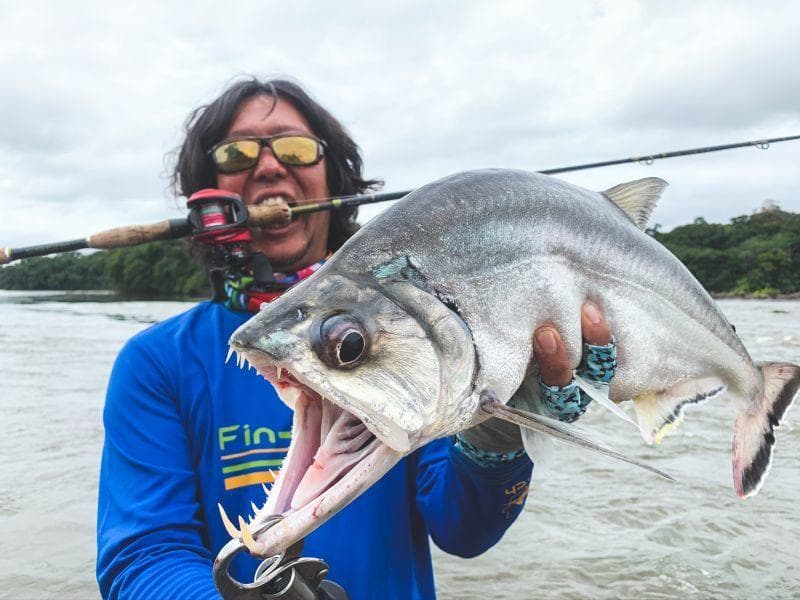 激安価格！ フィンチ　CANARIA 610M　4ピースロッド 完全未使用