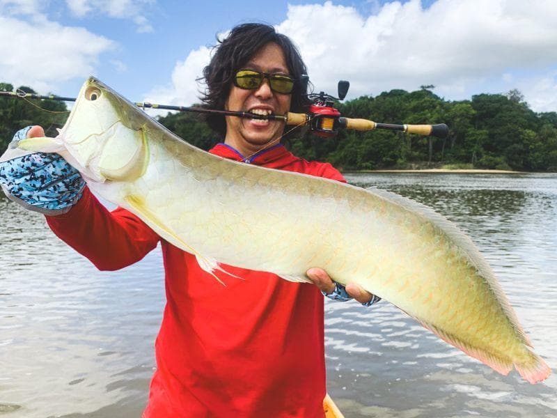 激安価格！ フィンチ　CANARIA 610M　4ピースロッド 完全未使用