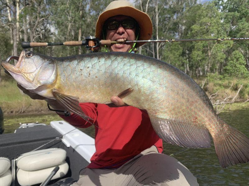 激安価格！ フィンチ　CANARIA 610M　4ピースロッド 完全未使用