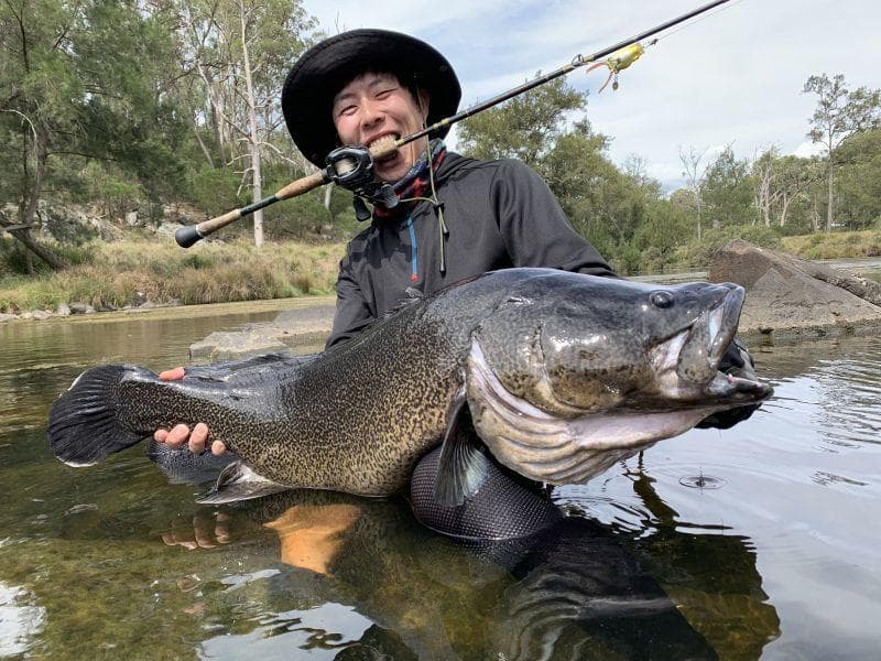 激安価格！ フィンチ　CANARIA 610M　4ピースロッド 完全未使用