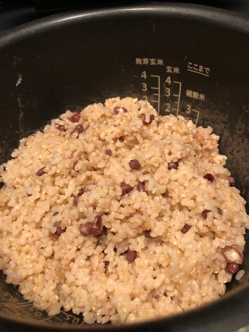 ライカベル　圧力IH 玄米発芽炊飯器　 酵素玄米 5.5合炊き