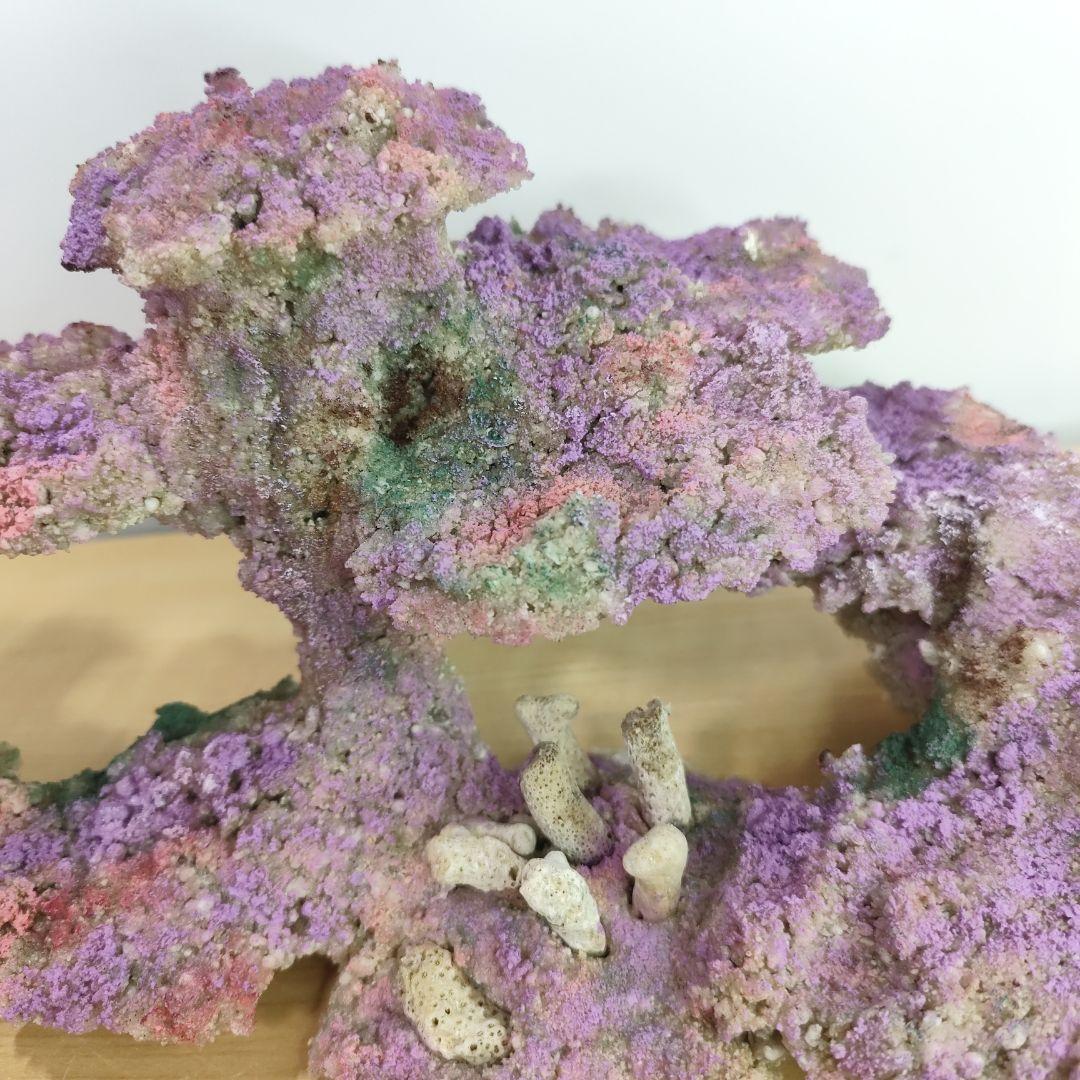 2個セット✐プラグ穴付き 新品 人工ライブロック 60cm海水水槽用 レプリカ