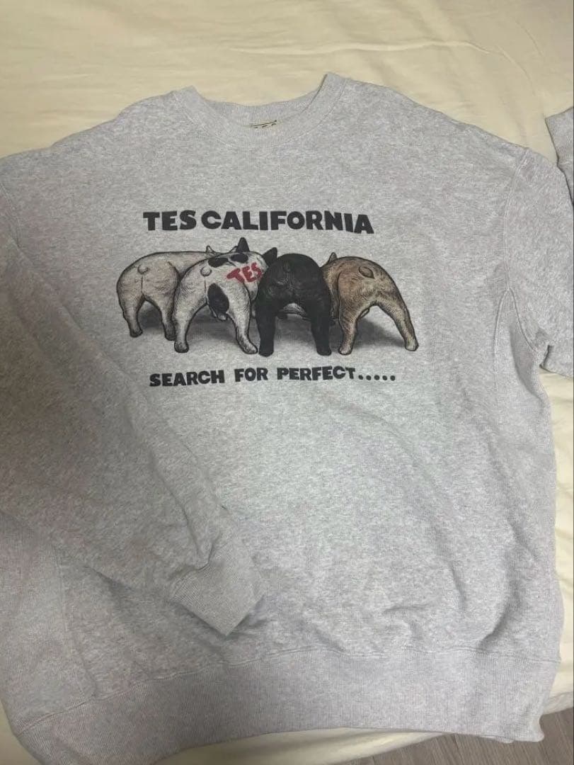 TES /4BUHI/スウェット/トレーナー/グレー/XL