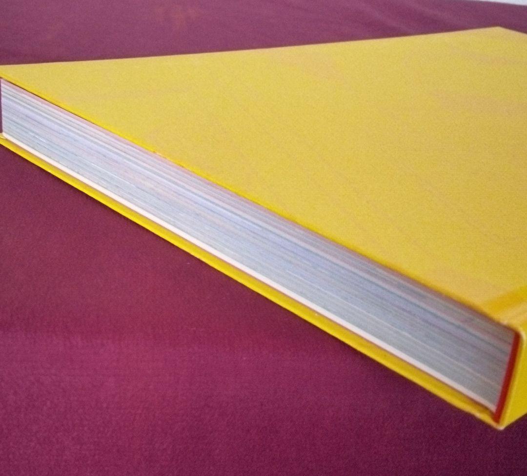 夢覘 = YUMENOZOKI : 佐伯俊男画集