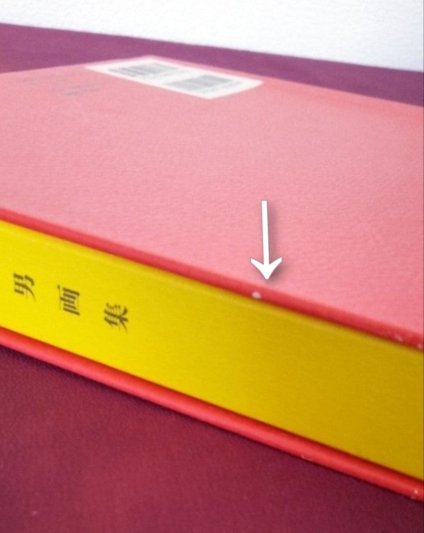 夢覘 = YUMENOZOKI : 佐伯俊男画集