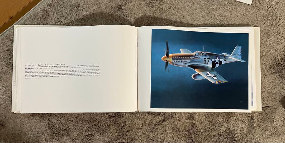 小池繁夫 FLYOVER フライオーバー 航空イラスト作品集 中古美品 ソニー