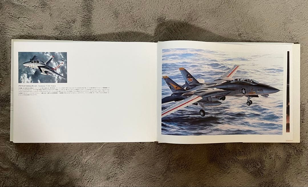 小池繁夫 FLYOVER フライオーバー 航空イラスト作品集 中古美品 ソニー