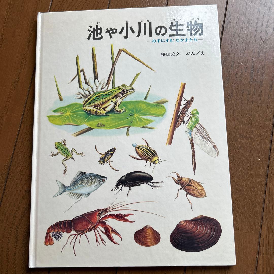 福音館のかがくのほん10冊セット