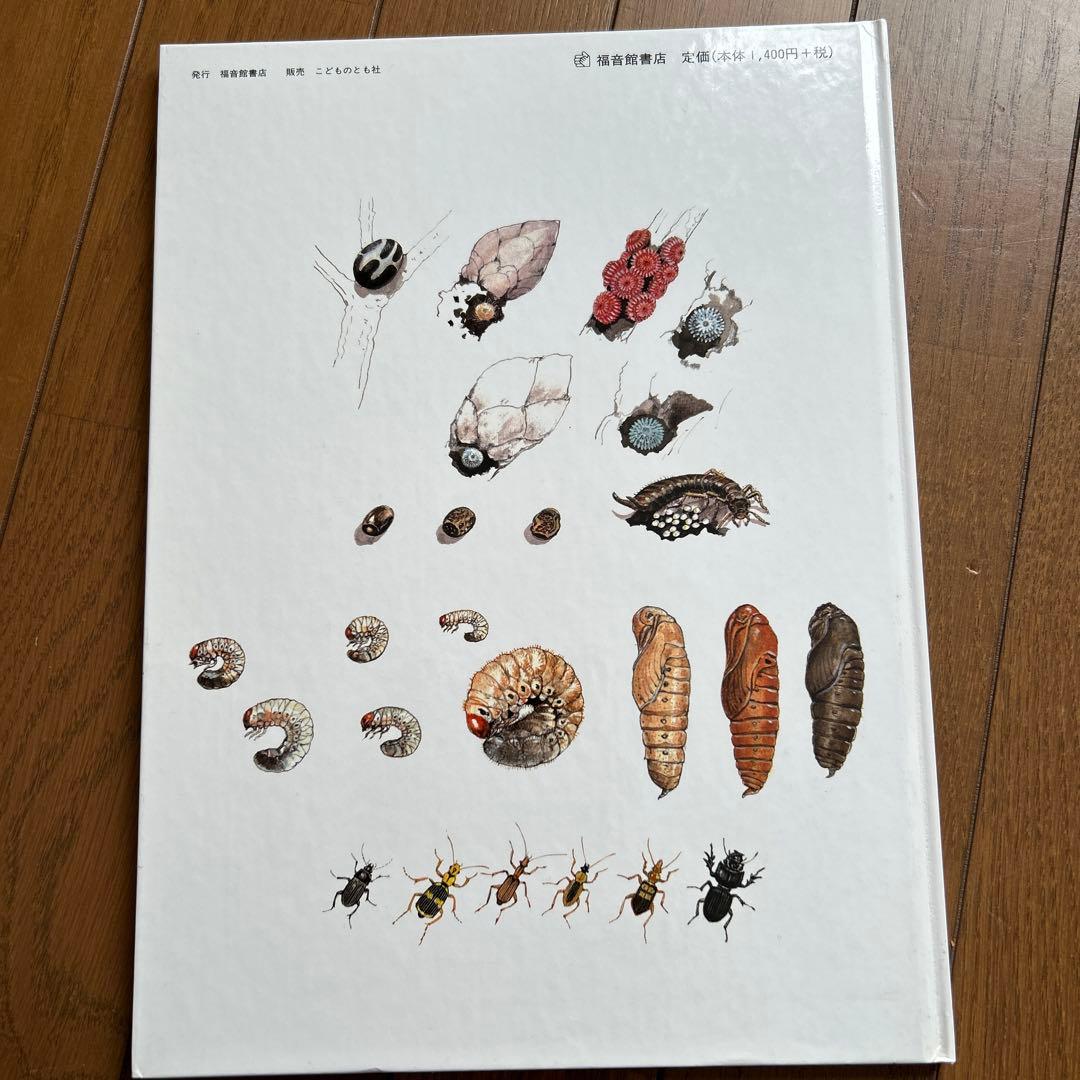 福音館のかがくのほん10冊セット