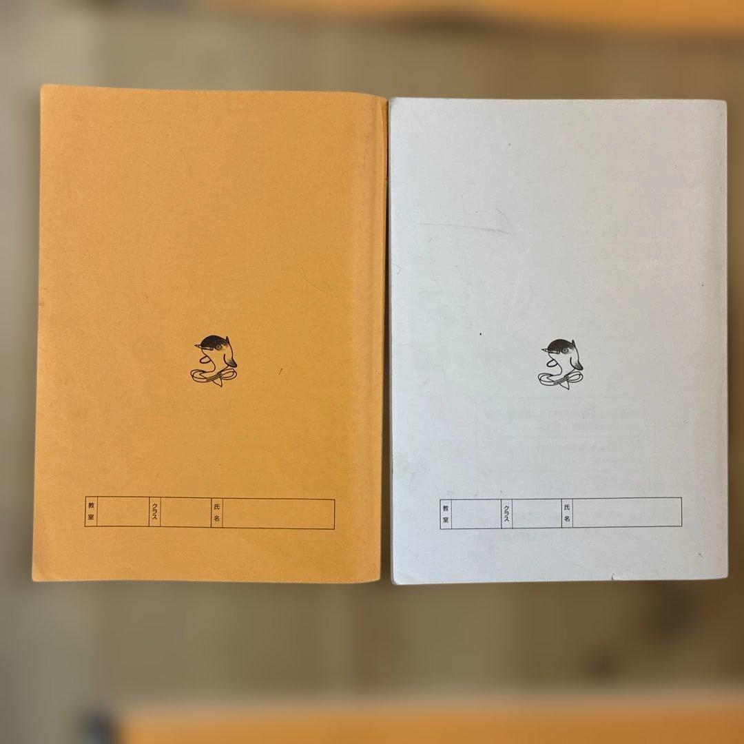 浜学園　最高レベル特訓　小5 算数　問題編　解説編編　難問解説集付き　フルセット