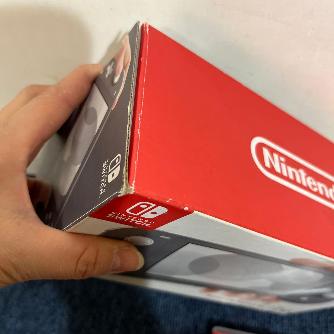 Nintendo Switch Lite グレー　カセット付き