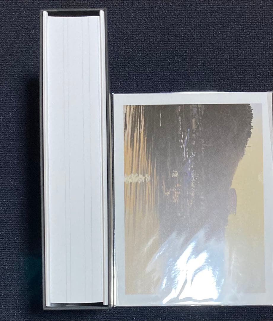 坂口恭平　カタログ レゾネ　pastel 　パステル画