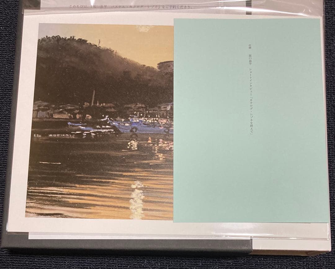 坂口恭平　カタログ レゾネ　pastel 　パステル画