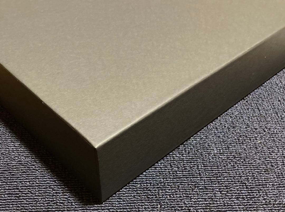 坂口恭平　カタログ レゾネ　pastel 　パステル画