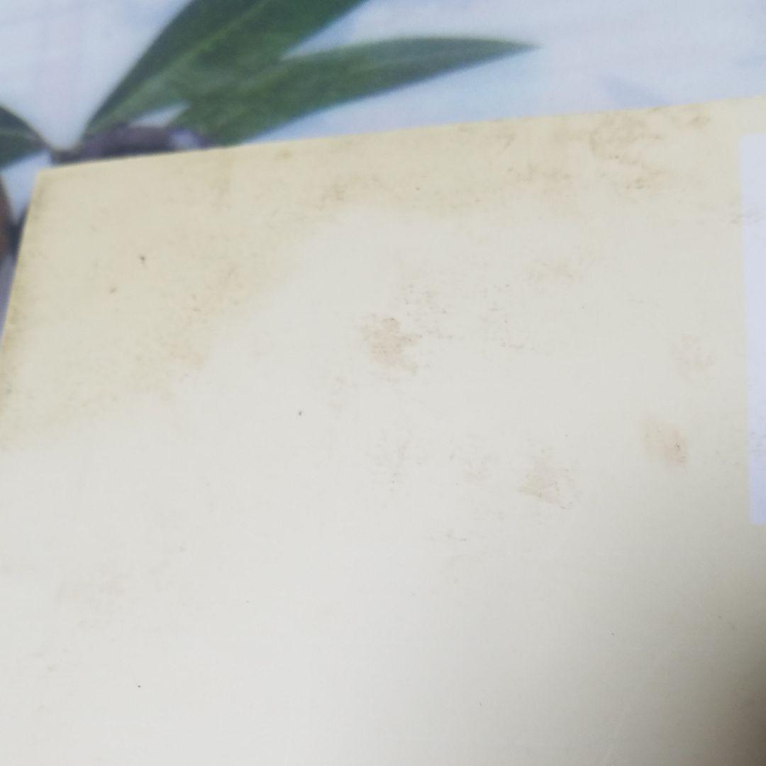 やさしい重曹生活 : 掃除に、洗濯に、スキンケアに、料理に