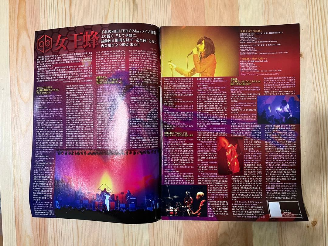 3/16まで出品 女王蜂 白兵戦 パワーパフステッカー バンドエイド おまけ付