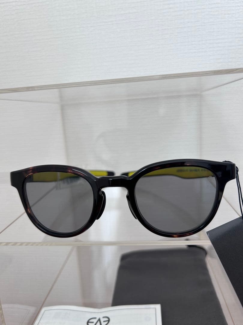 Eyevol 偏光レンズ　サングラス　LEIFER