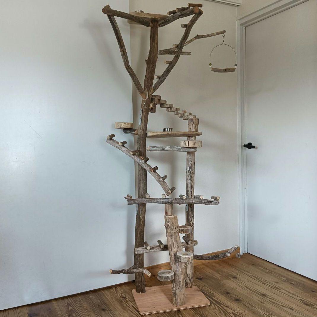 バードアスレチックジム大型 ① 天然木 自然木 流木 インコ おもちゃ