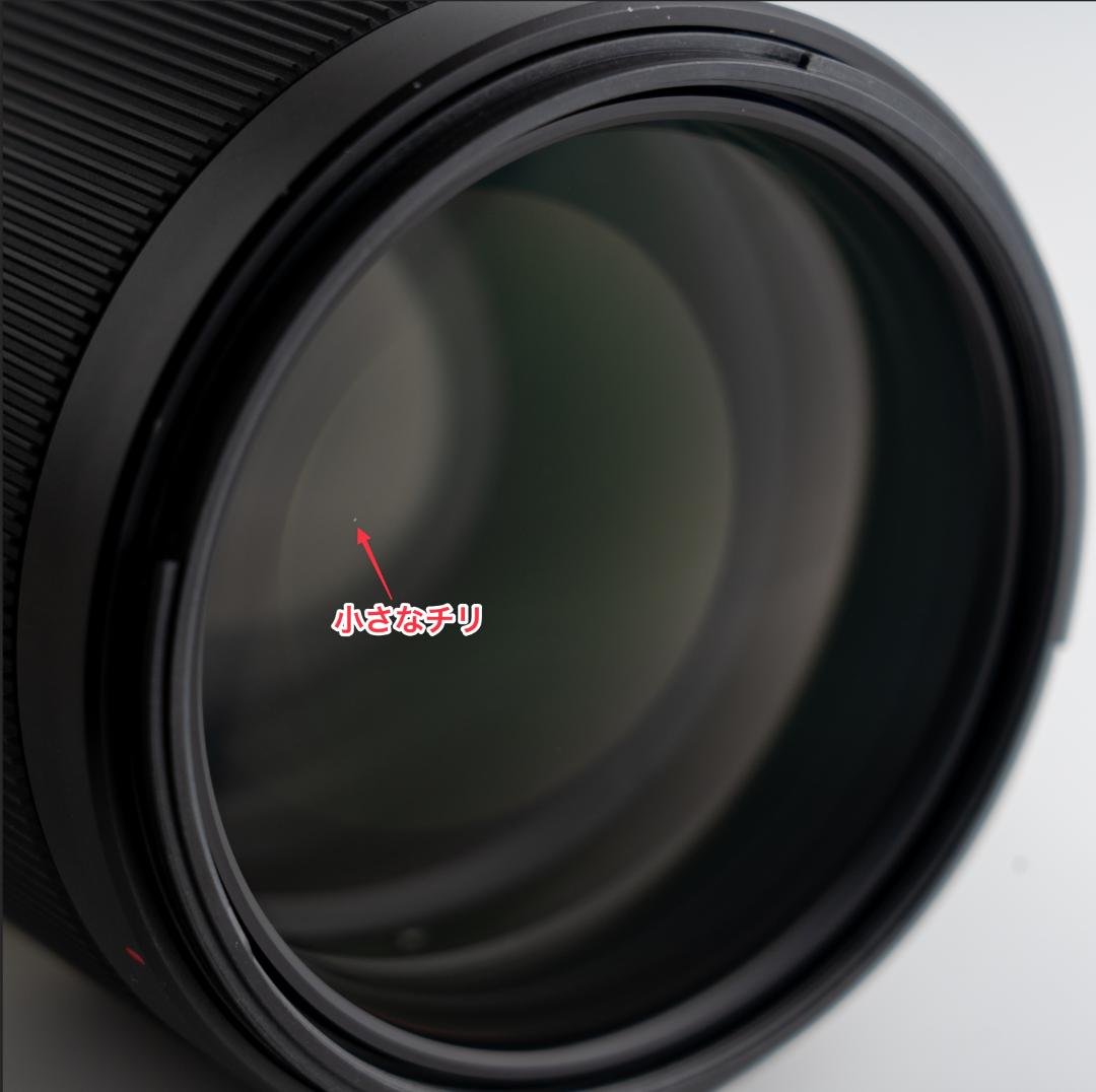 SONY ソニー FE 70-200mm F2.8 GM OSS