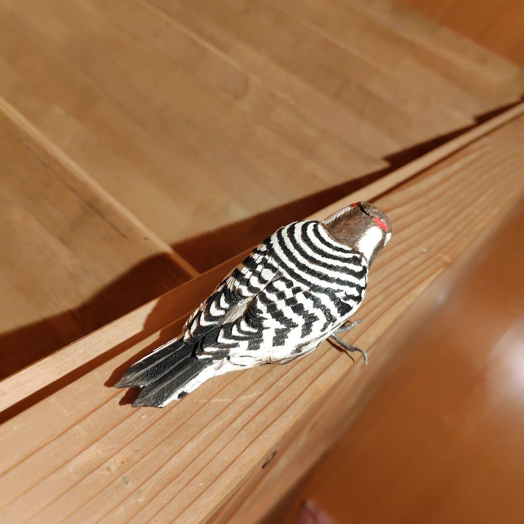 バードカービング コゲラ(キツツキ) マグネット 野鳥 木彫り