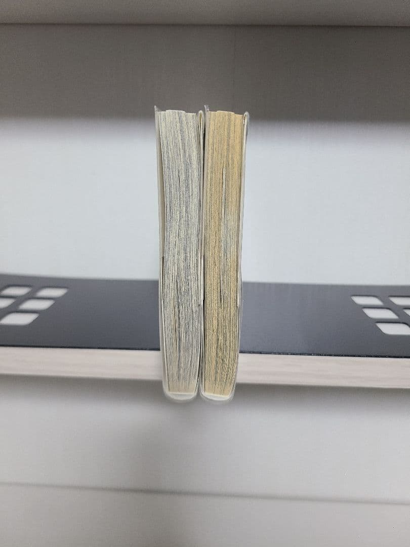 専用　ジョジョの奇妙な冒険　リオン　初版