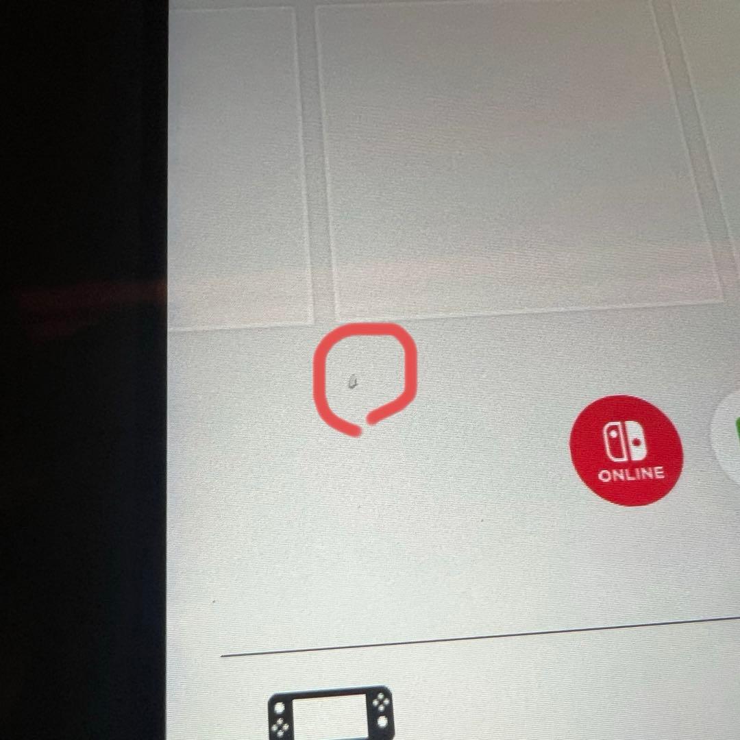 Nintendo Switch Lite グレー　中古