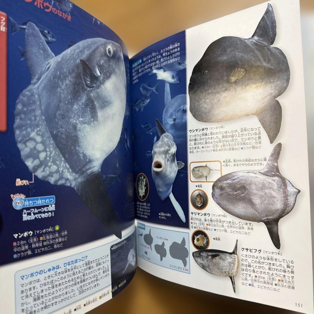 7冊セット 講談社の動く図鑑 move 植物 鳥 は虫類 魚 大自然 人体