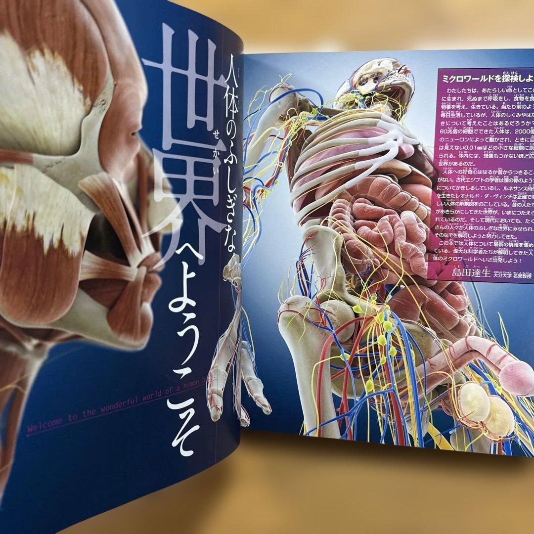 7冊セット 講談社の動く図鑑 move 植物 鳥 は虫類 魚 大自然 人体