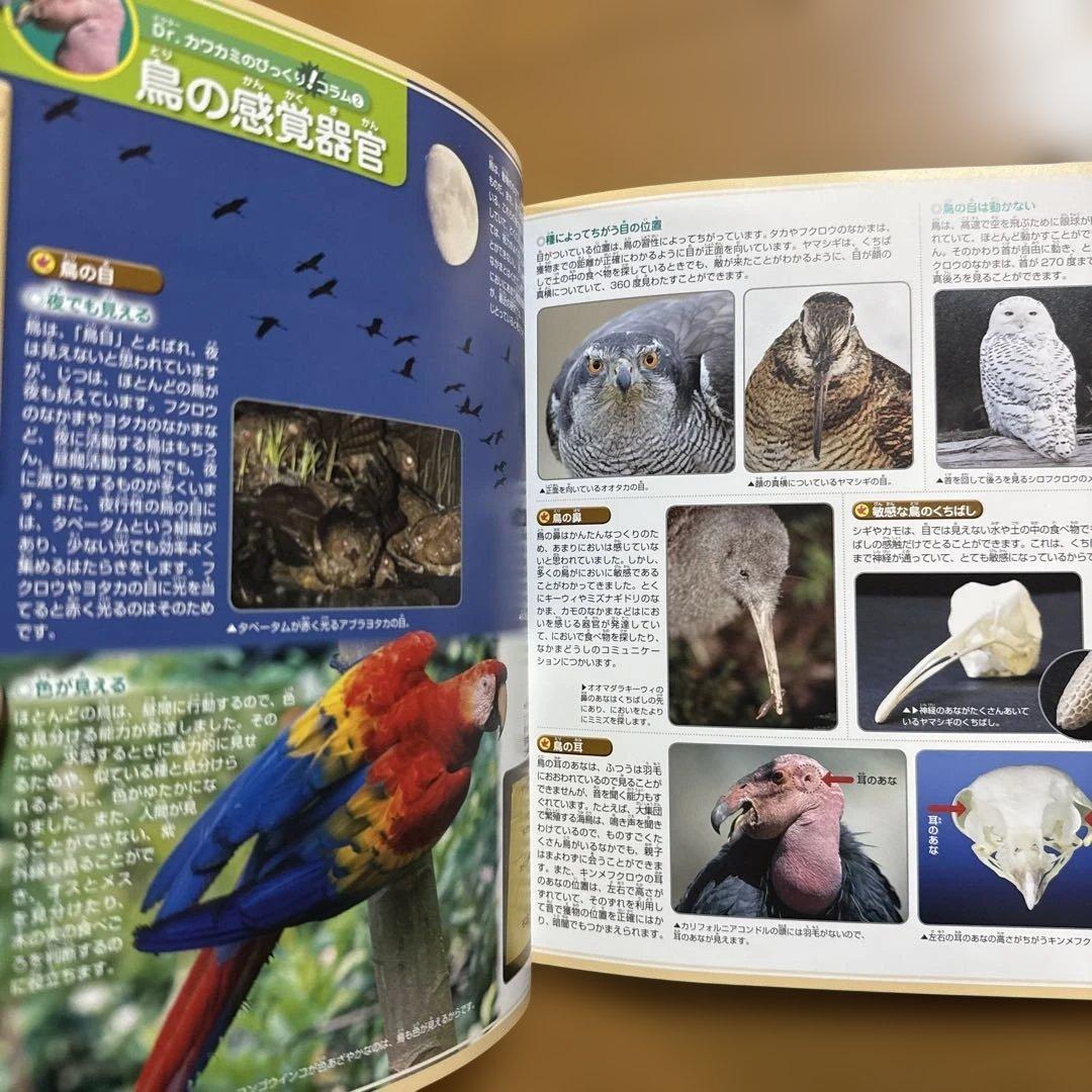 7冊セット 講談社の動く図鑑 move 植物 鳥 は虫類 魚 大自然 人体