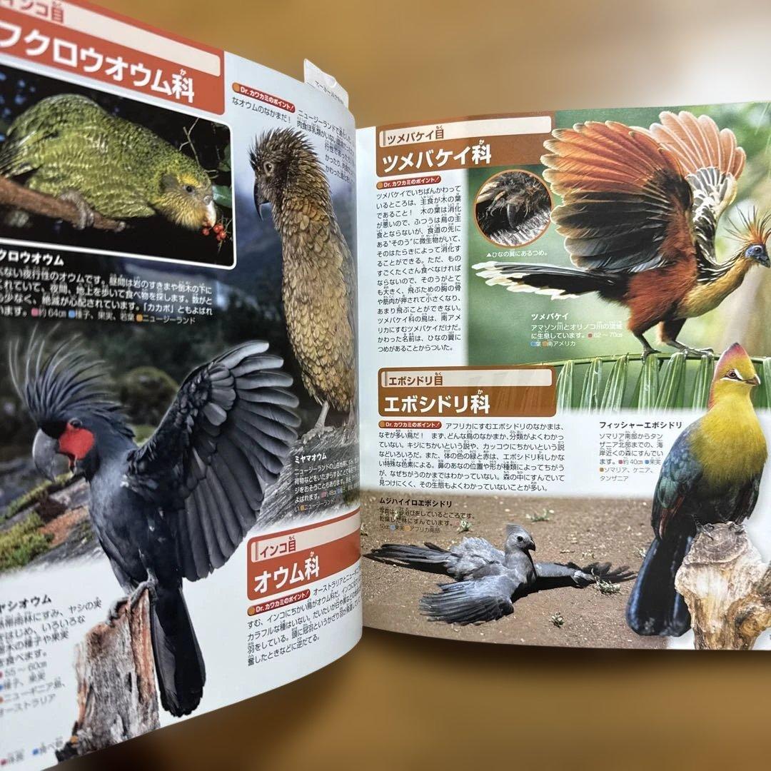 7冊セット 講談社の動く図鑑 move 植物 鳥 は虫類 魚 大自然 人体